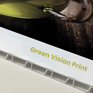 Lastra in PE Green Vision Print